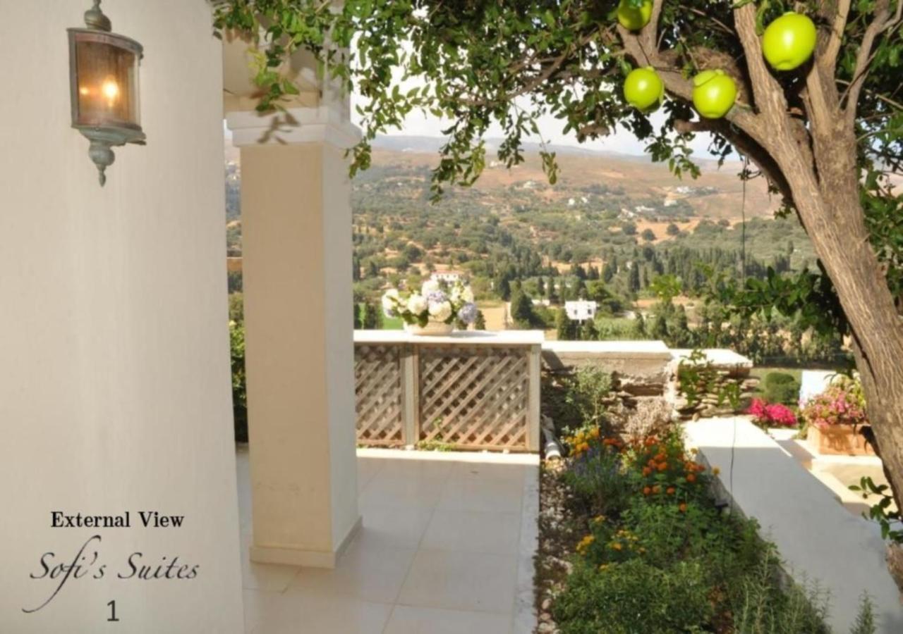 Sofi'S Suites Andros Luaran gambar